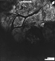 昭和23年の浦安の航空写真