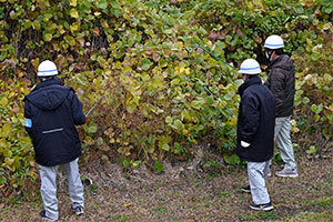 写真：茂みの近くでイノシシを捜索する様子