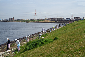 写真：舞浜護岸ボランティア清掃の様子