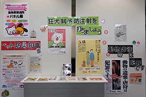 写真：展示の様子