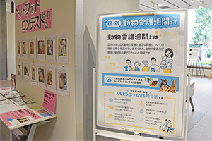 写真：パネル展の会場入り口