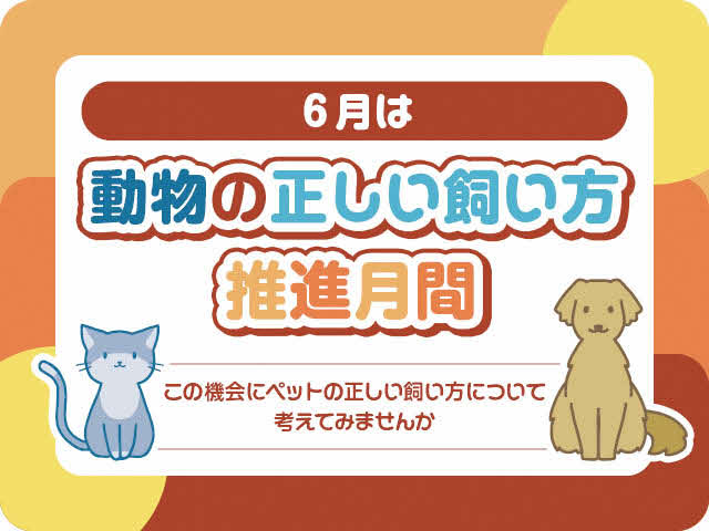 6月は動物の正しい飼い方推進月間