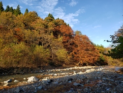 写真：江戸川の源流（烏川・秋）