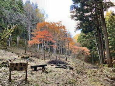 写真：紅葉（こもれび広場）