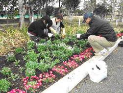 写真：弁天ふれあいの森公園里親活動の様子 