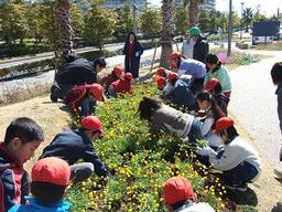 写真：明海の丘公園里親活動の様子