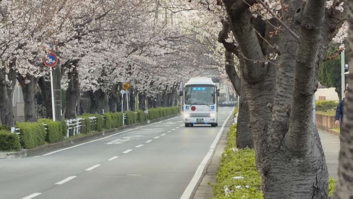 写真：おさんぽバスが走っている様子