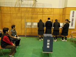 模擬投票