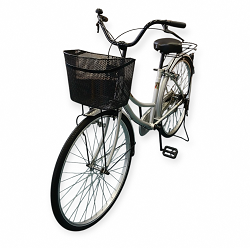 写真:抽選自転46号車