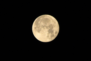 写真：浦安の夜空に浮かぶ中秋の名月