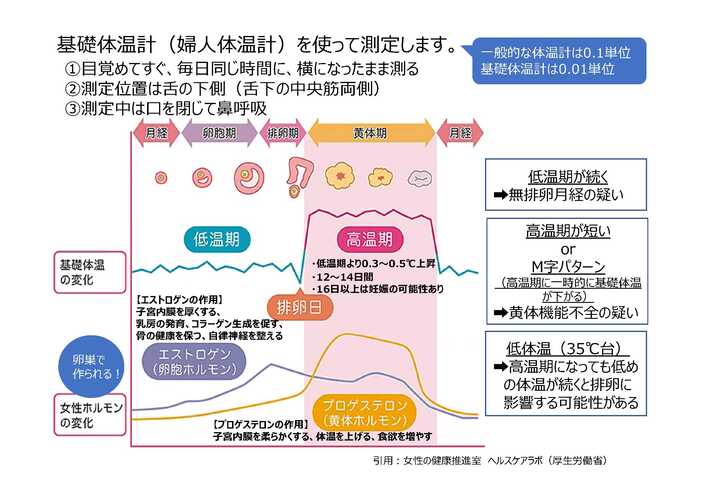 基礎体温についてのグラフ