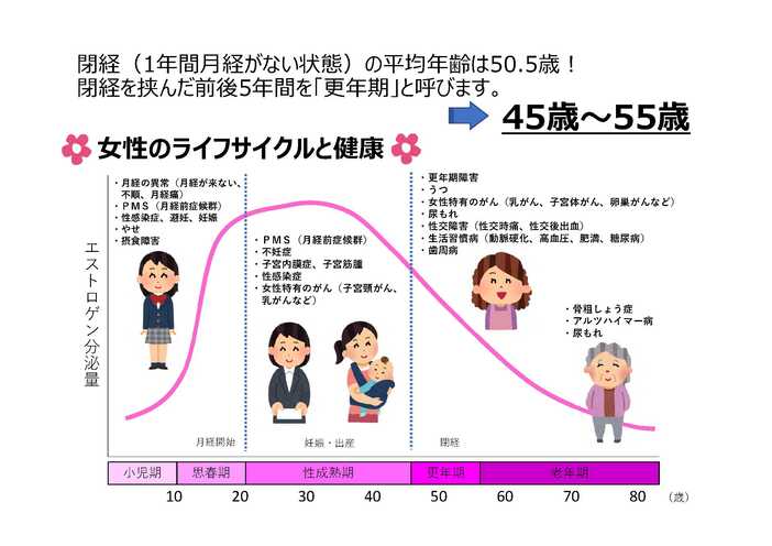 女性のライフサイクルと女性ホルモンについてのグラフ