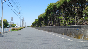 写真：太陽の丘公園脇の道路