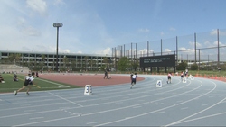 写真：小学校陸上競技大会の会場の様子