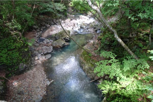 市民の森の横を流れる烏川