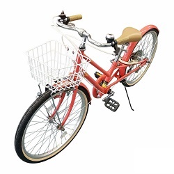 写真:ナンバー28自転車