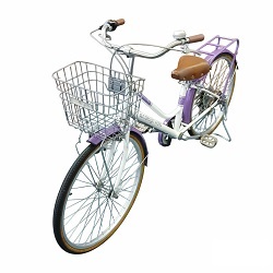 写真:ナンバー29自転車
