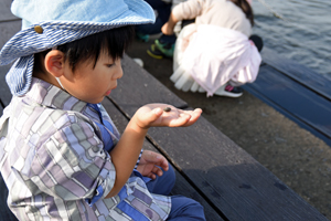 写真：ヤドカリを観察する子ども