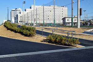 写真：緑道の景色2