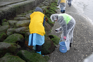 写真：岩場の生き物を探す様子