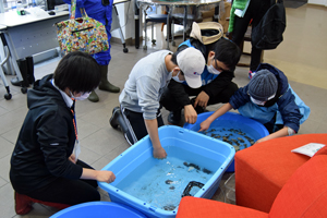 写真：干潟水族館で生き物に触れている様子