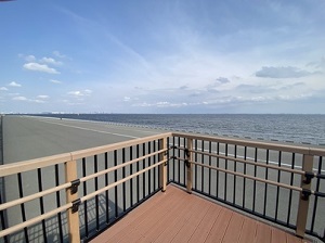 写真：明海・日の出地区から千葉方面を望む