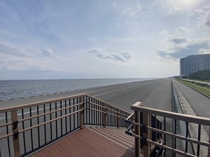 写真：明海・日の出地区から東京方面を望む