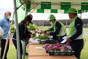 写真:花苗の無償配布の様子