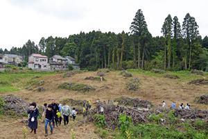 写真：たくさんの苗が植えられた植樹会場