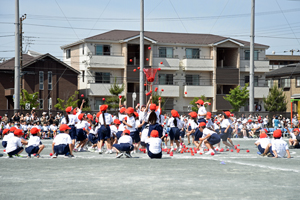 写真:玉入れをする児童