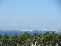 写真：デッキからの風景（富士山）
