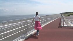 写真：明海・日の出地区の護岸を歩くリポーター