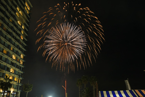 写真：夜空に打ち上がった花火