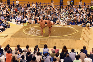 写真:初切の様子