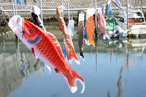 写真：赤いこいのぼりなど色とりどりのこいのぼり