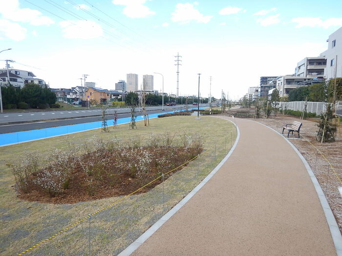 写真：高洲地区北側緑道の風景