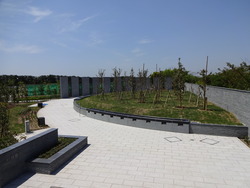 写真：樹林墓地の様子