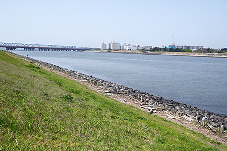 写真4：舞浜護岸と旧江戸川