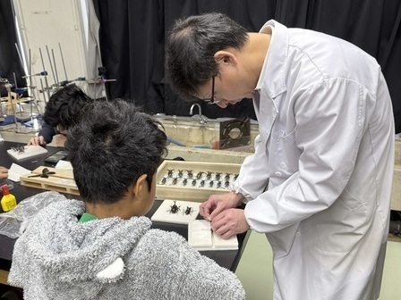 第2回昆虫クラブの様子