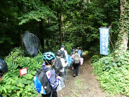 第2回 市川市大町での昆虫採集(令和8年7月18日)