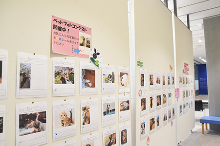 写真2：ペットフォトコンテストの展示の様子
