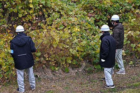 写真：イノシシを捜索する様子