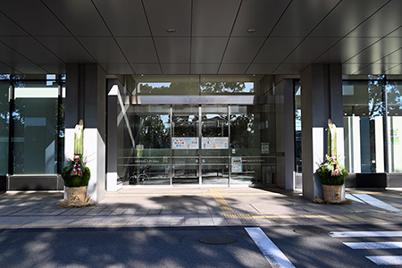 庁舎正面玄関に飾られた門松の写真