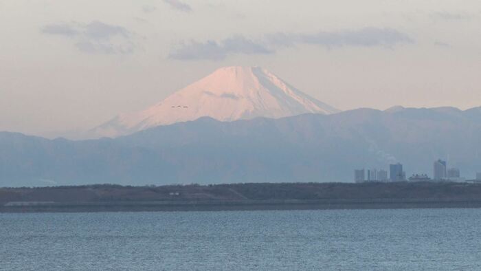写真：雪化粧の富士山