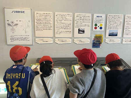 海苔について展示品を見て学ぶ