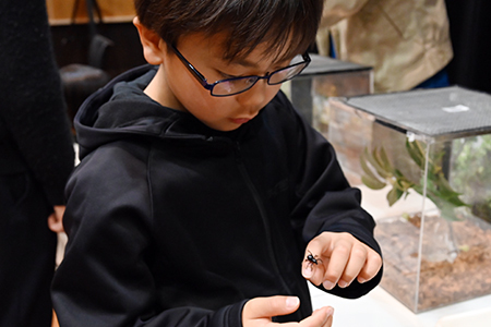 写真：昆虫とのふれあい