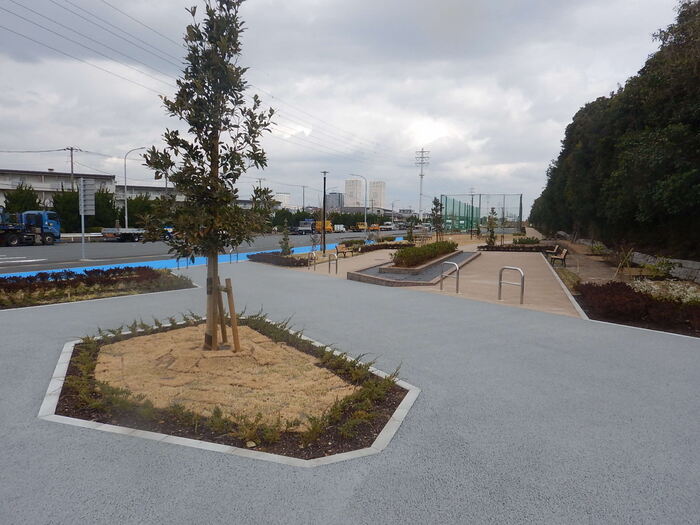 写真：高洲地区北側緑道の風景