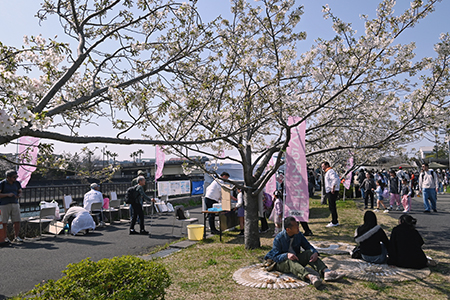 写真：「さくらカフェ」ののぼりの下で楽しむ様子