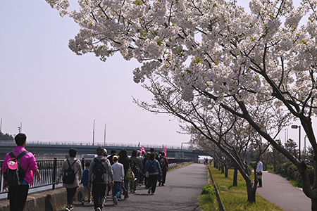 写真：ウオーキングの様子