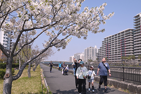 写真：桜を楽しむ様子